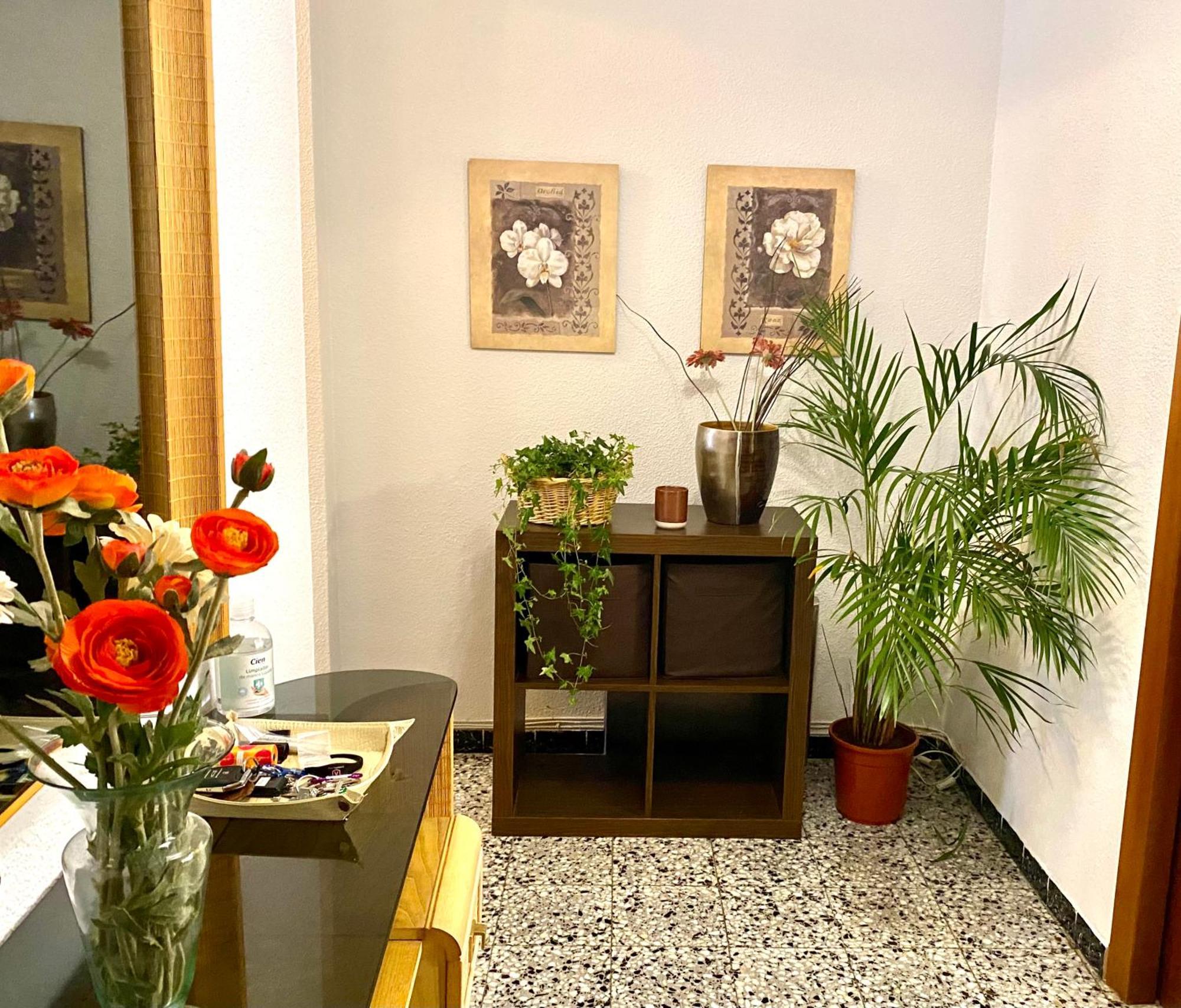 Habitacion My Home Аліканте Екстер'єр фото